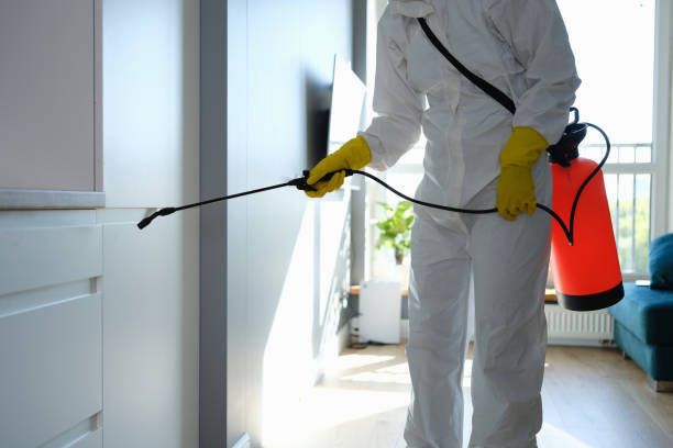 Best Professional Mold Removal  in Sudden Valley, WA